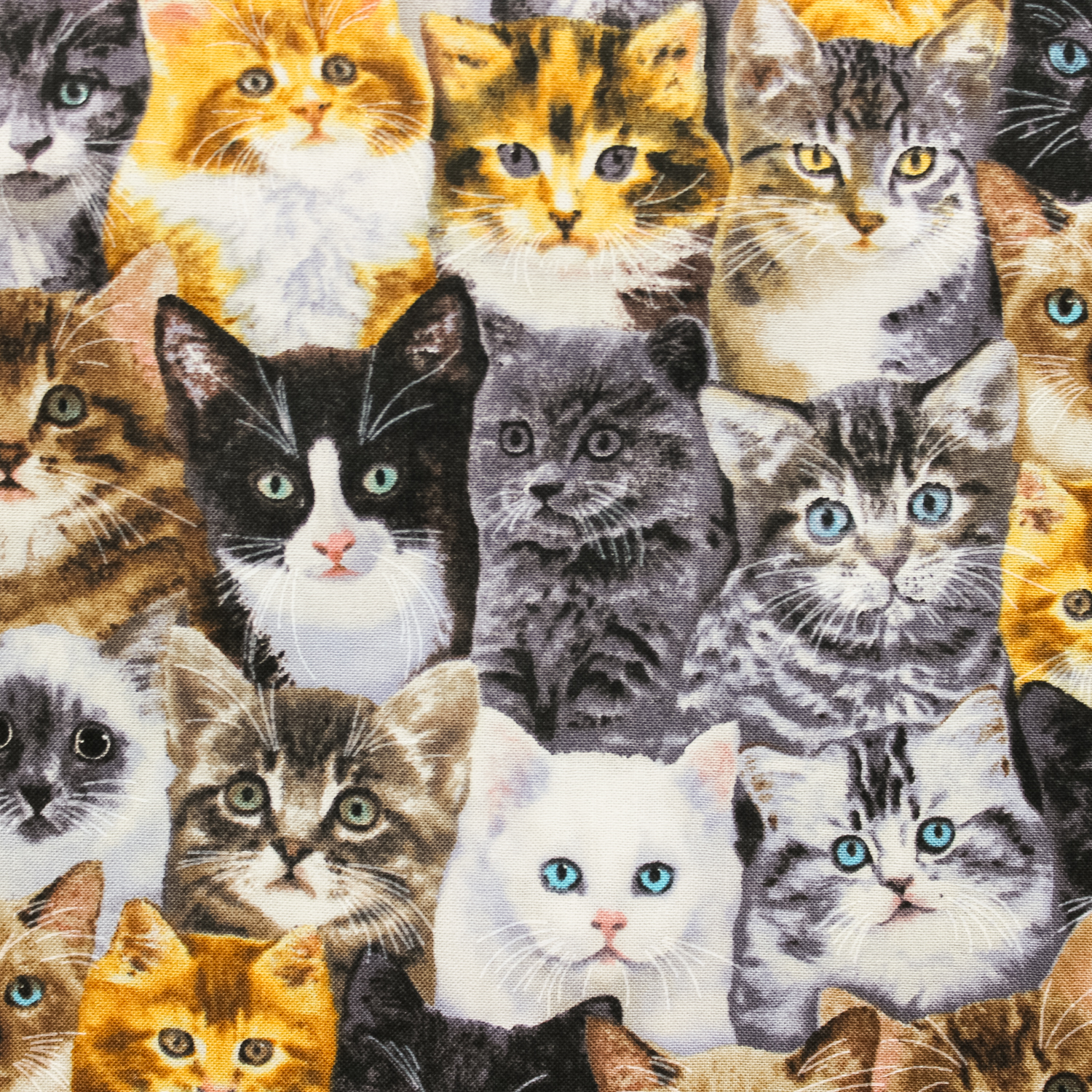 Katoen multicolor met katten